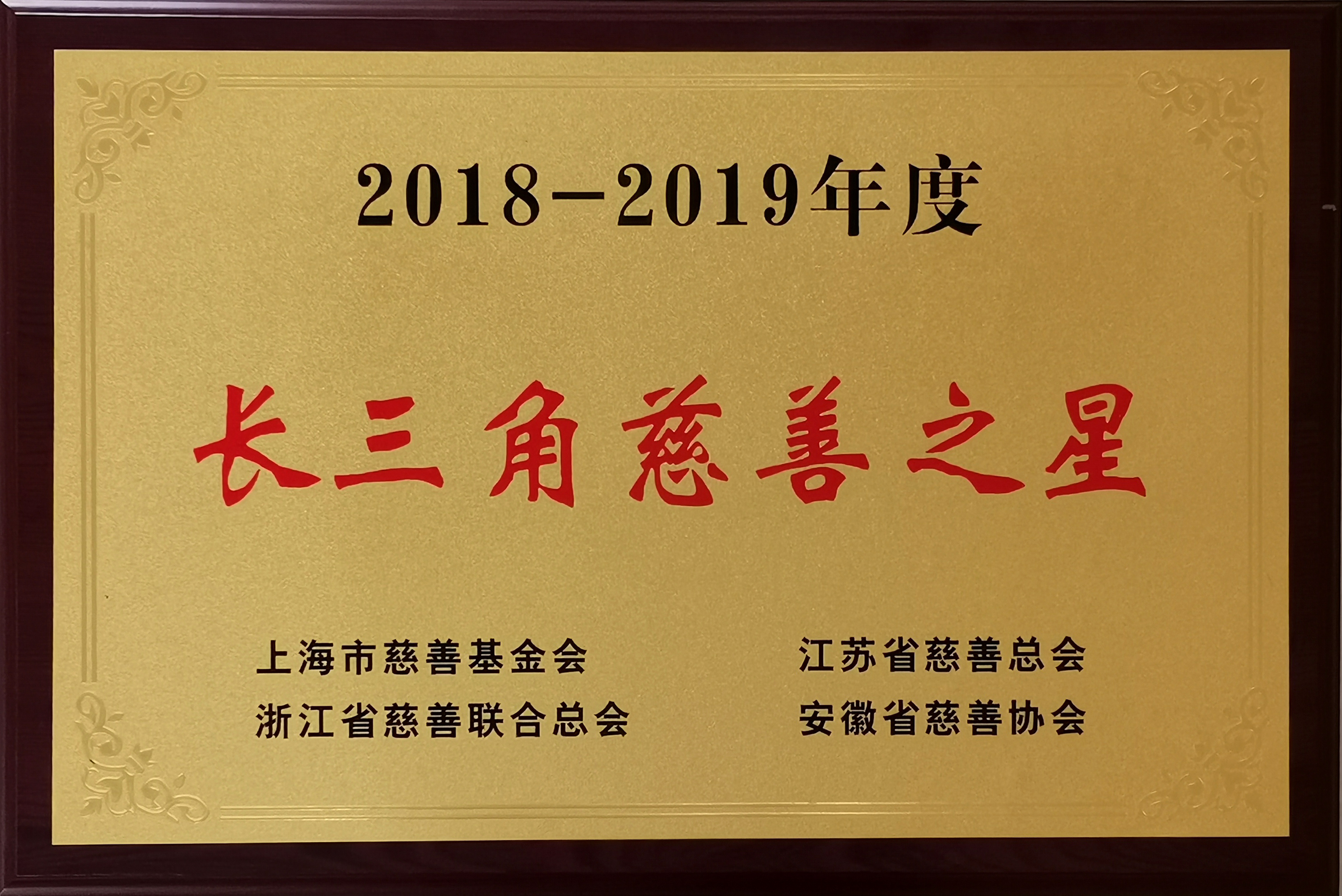 董事长沈小平荣获“2018-2019年度长三角慈善之星”荣誉称号