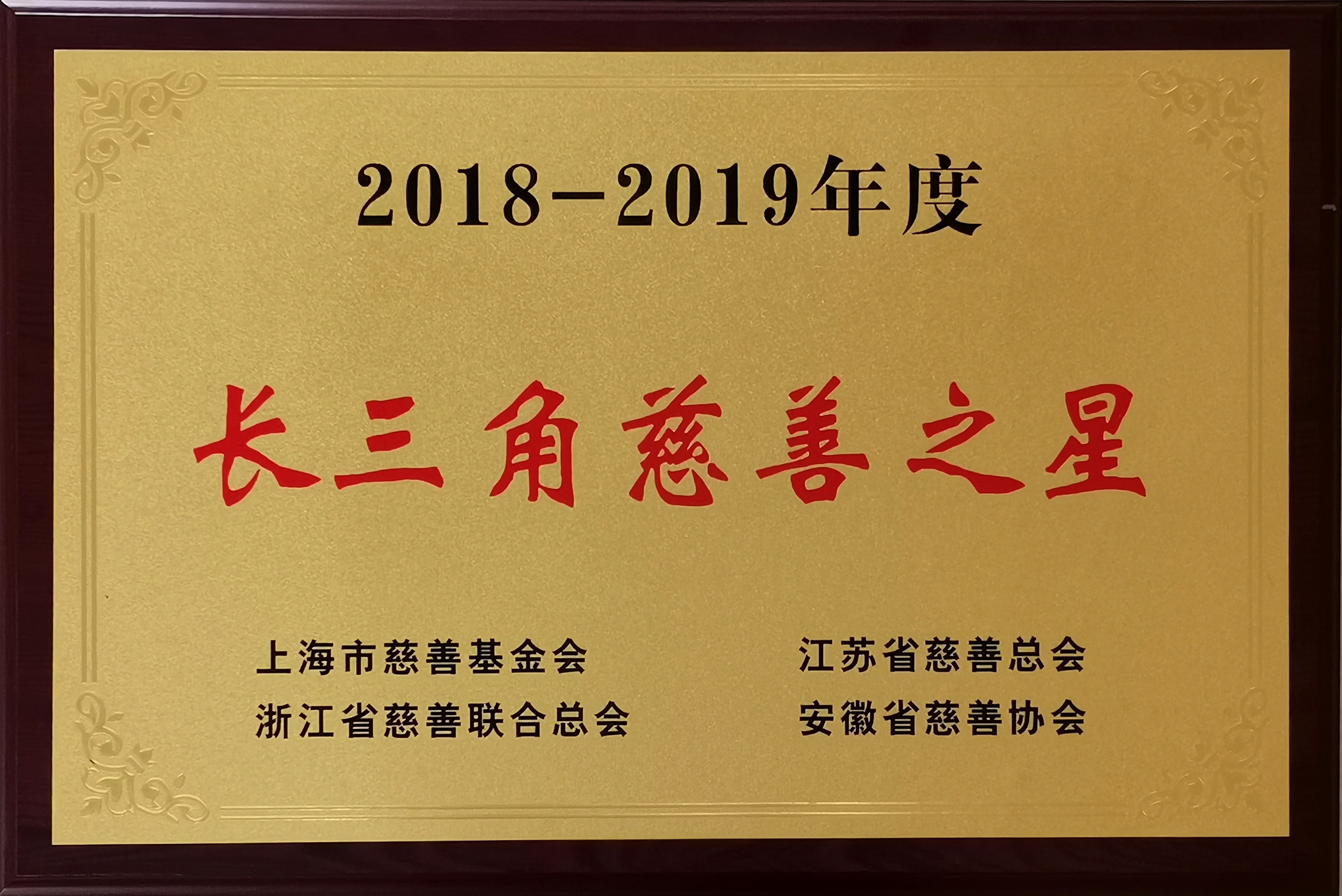 董事长沈小平荣获“2018-2019年度长三角慈善之星”荣誉称号