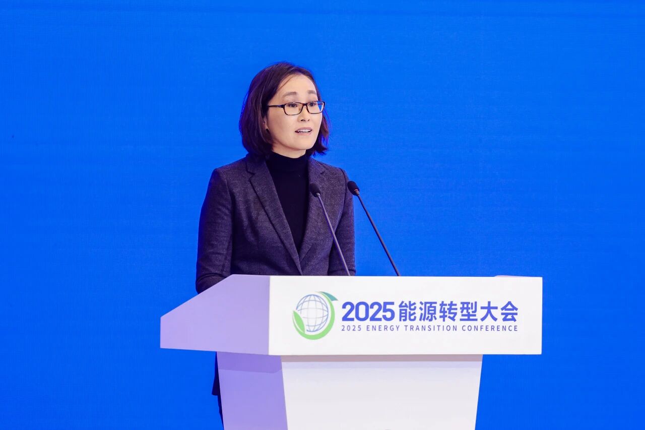 2025能源转型大会在京举办