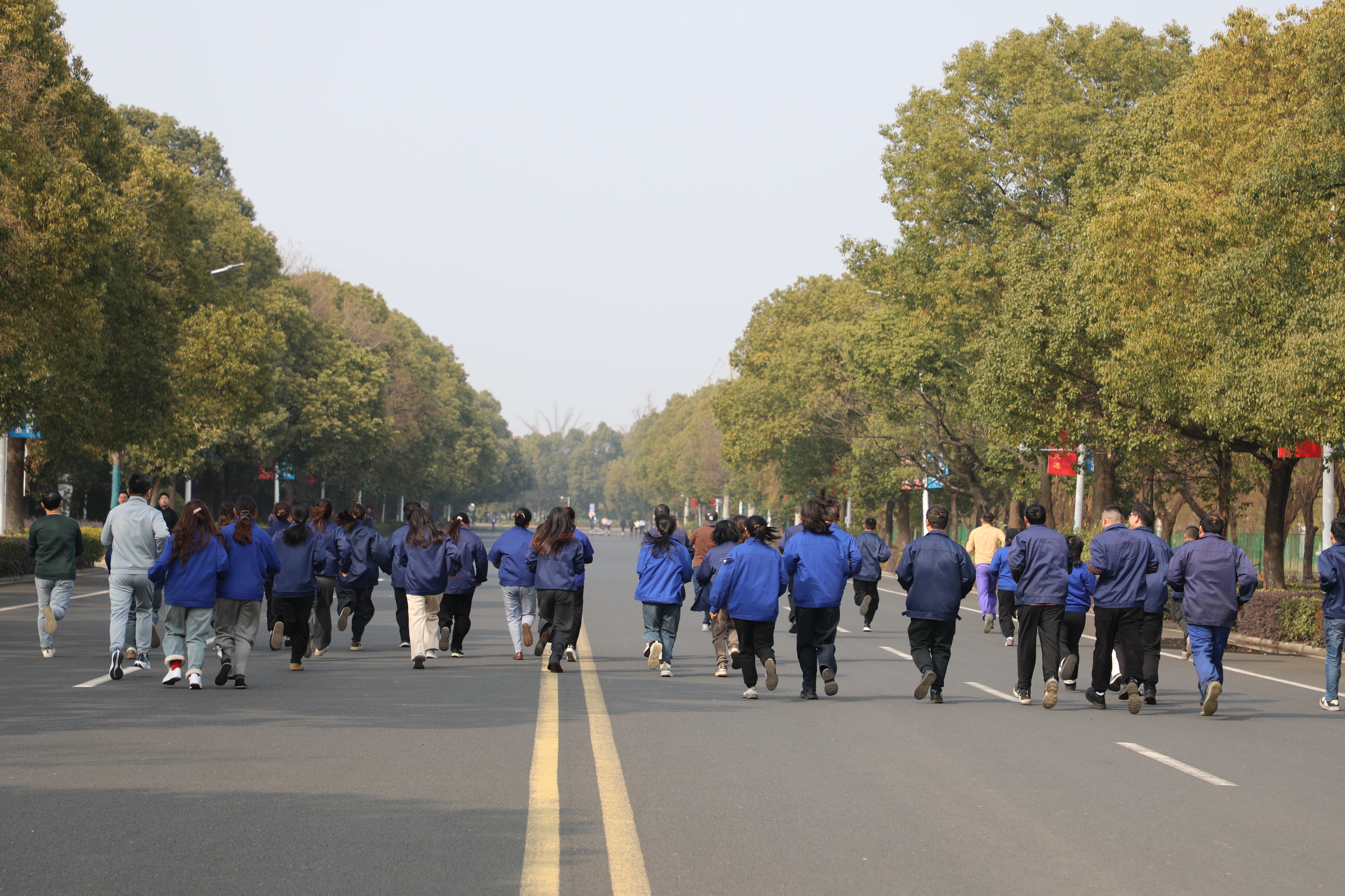 策马迎春，聚力前行 | 通鼎集团冬季长跑赛圆满落幕